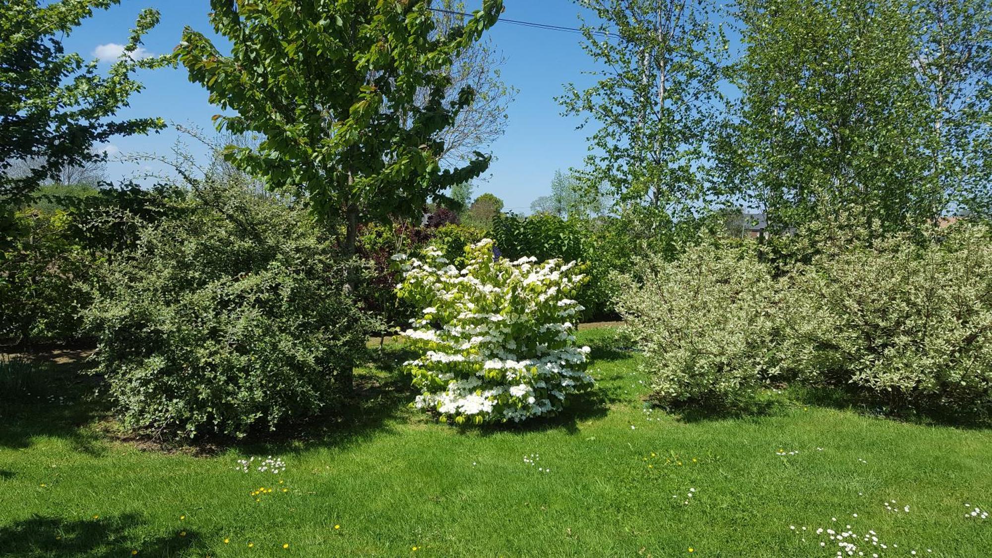 Gite D'Anne Et Ulysse Sept-Freres ภายนอก รูปภาพ
