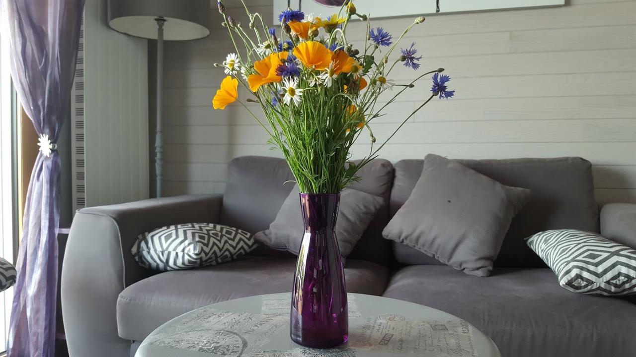 Gite D'Anne Et Ulysse Sept-Freres ภายนอก รูปภาพ